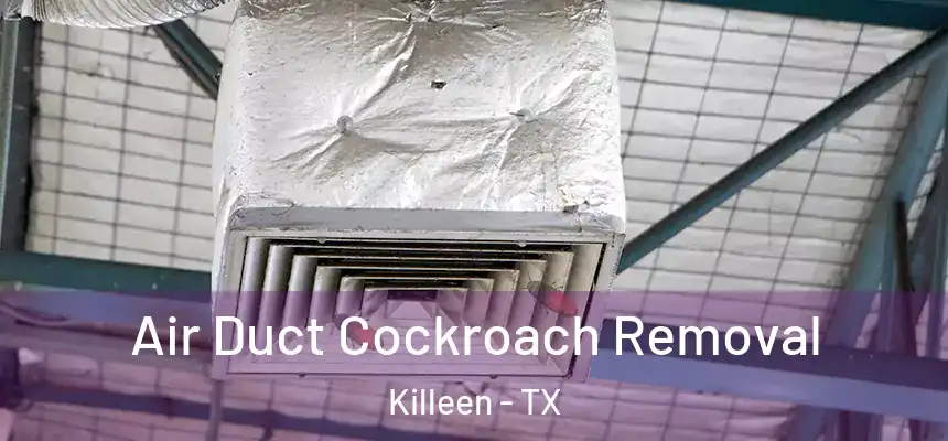 Air Duct Cockroach Removal Killeen - TX