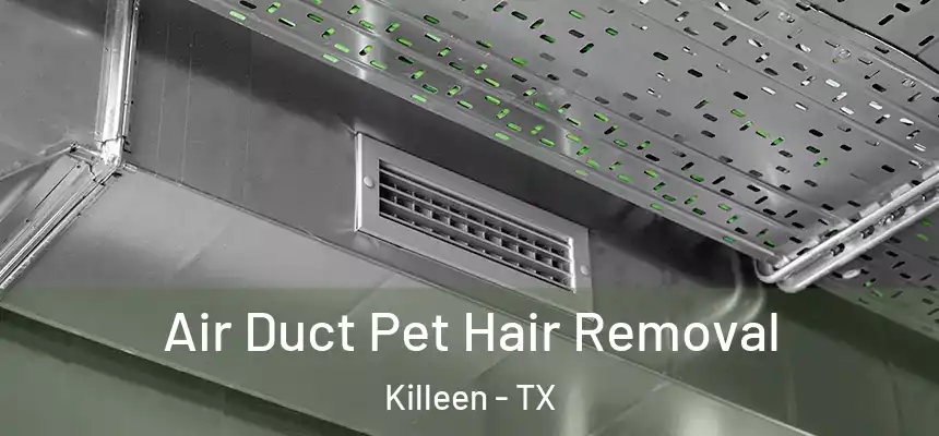 Air Duct Pet Hair Removal Killeen - TX