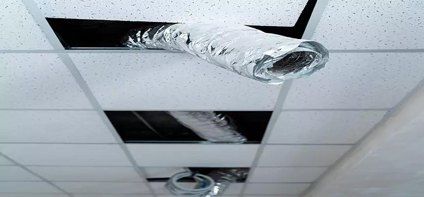 Affordable HVAC Sanitizing After Pest Removal in Killeen