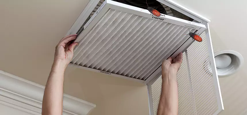 Our Insect Removal from Air Ducts Services in Killeen, TX