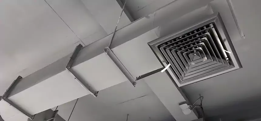 Our Pest Removal From Ducts Services in Killeen, TX