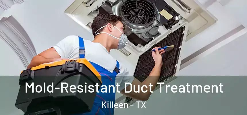 Mold-Resistant Duct Treatment Killeen - TX