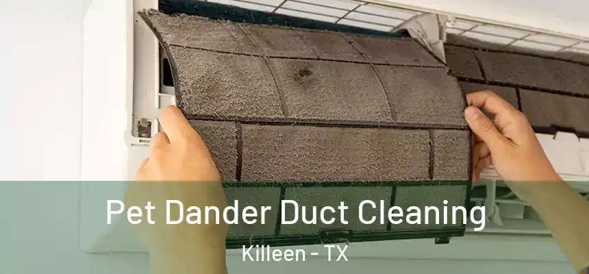 Pet Dander Duct Cleaning Killeen - TX
