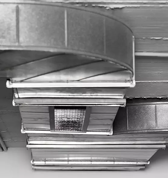 Professional Air Duct Pet Hair Removal in Killeen, TX