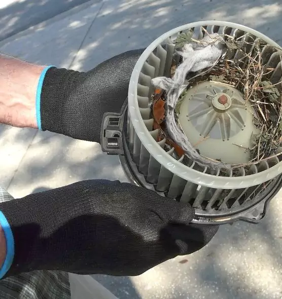 About Air Duct Rat Removal in Killeen, TX