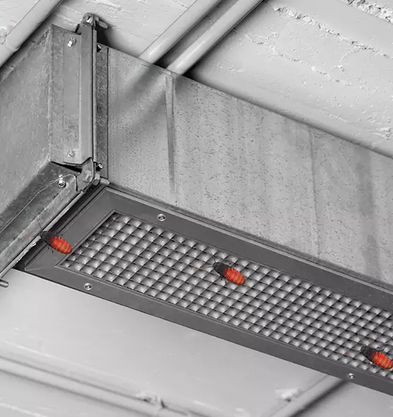 Affordable Insect Removal from Air Ducts in Killeen, TX