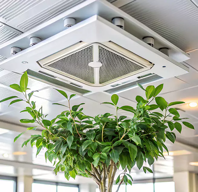 Why Homeowners & Businesses Trust Us in Killeen, TX?